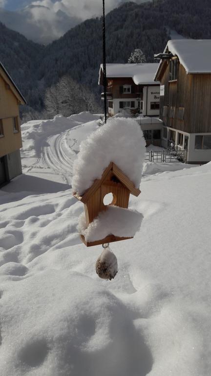 ホテル Haus Erna ショペルナウ エクステリア 写真